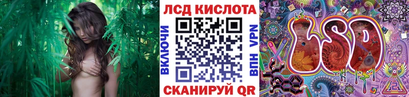 blacksprut маркетплейс  Щёкино  Марки N-bome 1500мкг 
