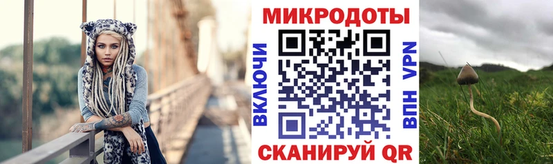 Галлюциногенные грибы MAGIC MUSHROOMS Щёкино