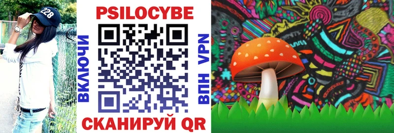 Псилоцибиновые грибы Psilocybine cubensis  Щёкино 